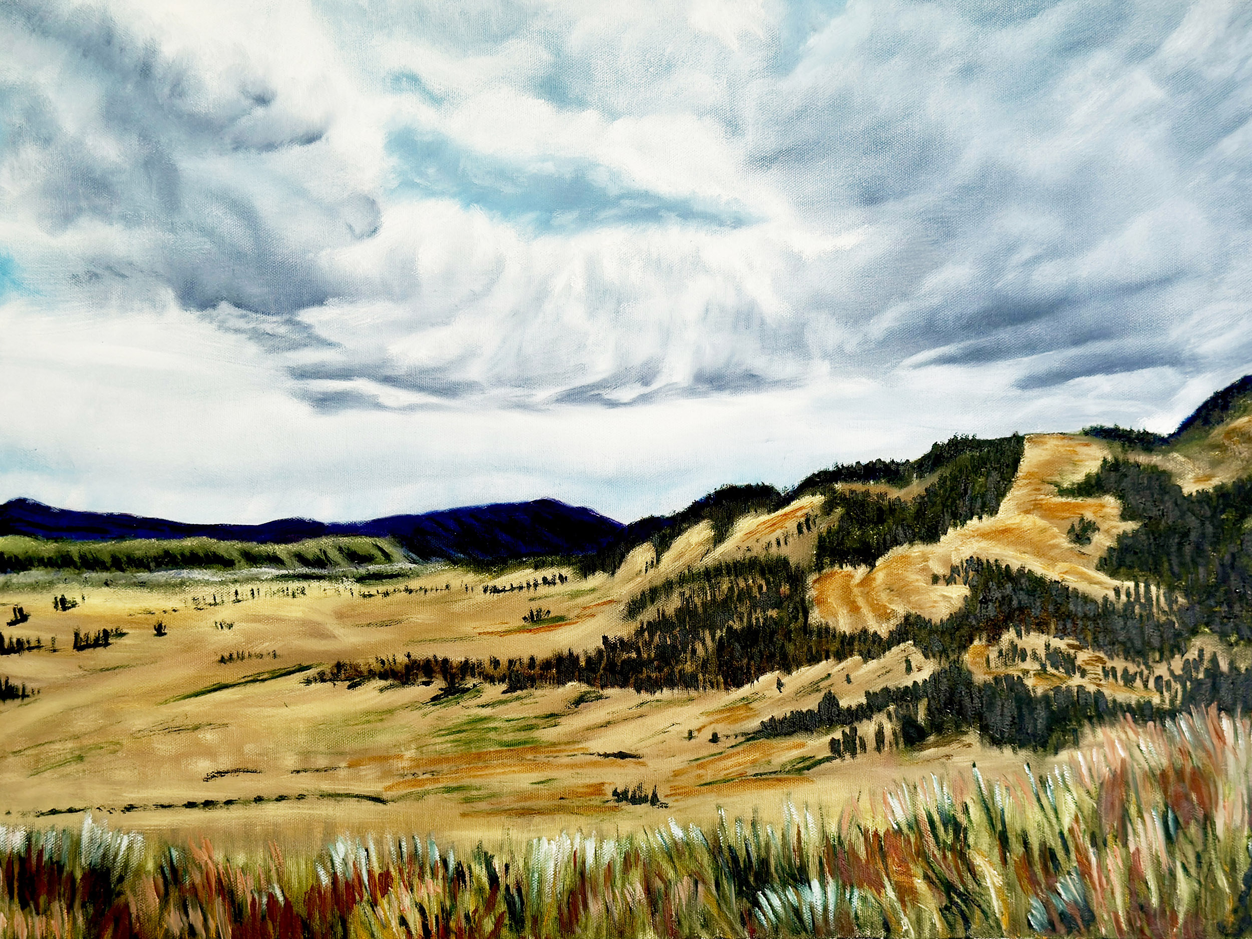 landscape painting montana